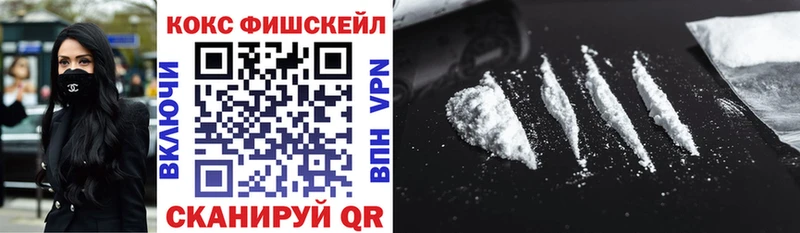 КОКАИН Fish Scale  Купить где  Кашин 