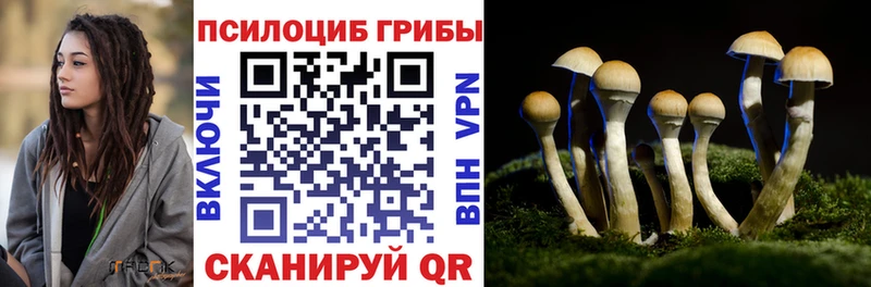 Галлюциногенные грибы GOLDEN TEACHER  Купить где  Кашин 